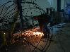 DSC03641.JPG