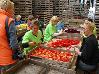 DSC03970.JPG