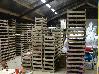 DSC03938.JPG