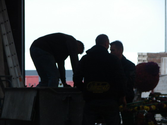 DSC04390.JPG