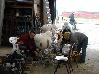 DSC04386.JPG