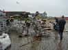 DSC04387.JPG