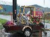 DSC04388.JPG